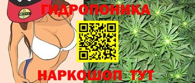 тгк Краснокаменск