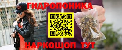 тгк Краснокаменск